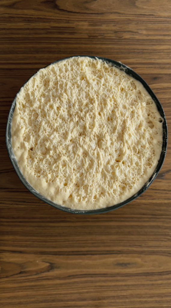 Gluten free bread dough after first rise showing airy sponge texture